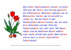Tulpe-Abschreibtexte 6.pdf